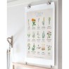 HERBS POSTER