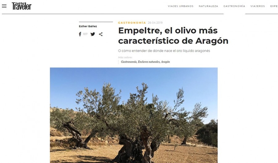 Condenast Traveler homenajea al olivo empeltre
