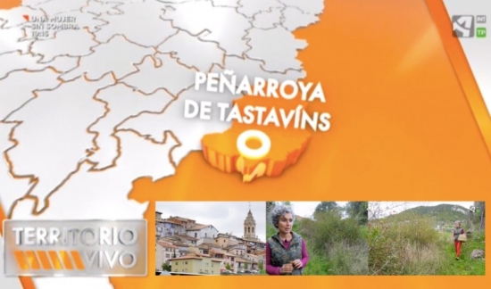 Nos visita Territorio Vivo, de Aragón TV